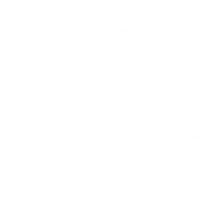 Perfect Service Ідеальний сервіс